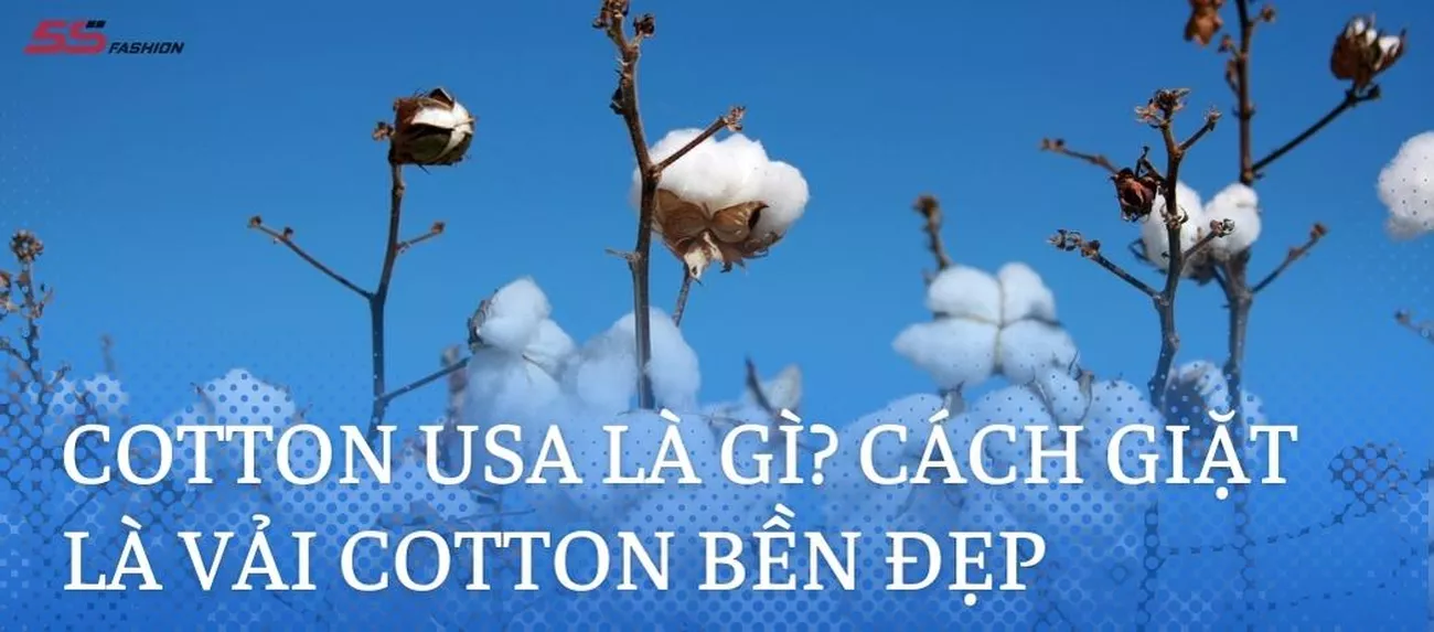vai-cotton-usa (1)